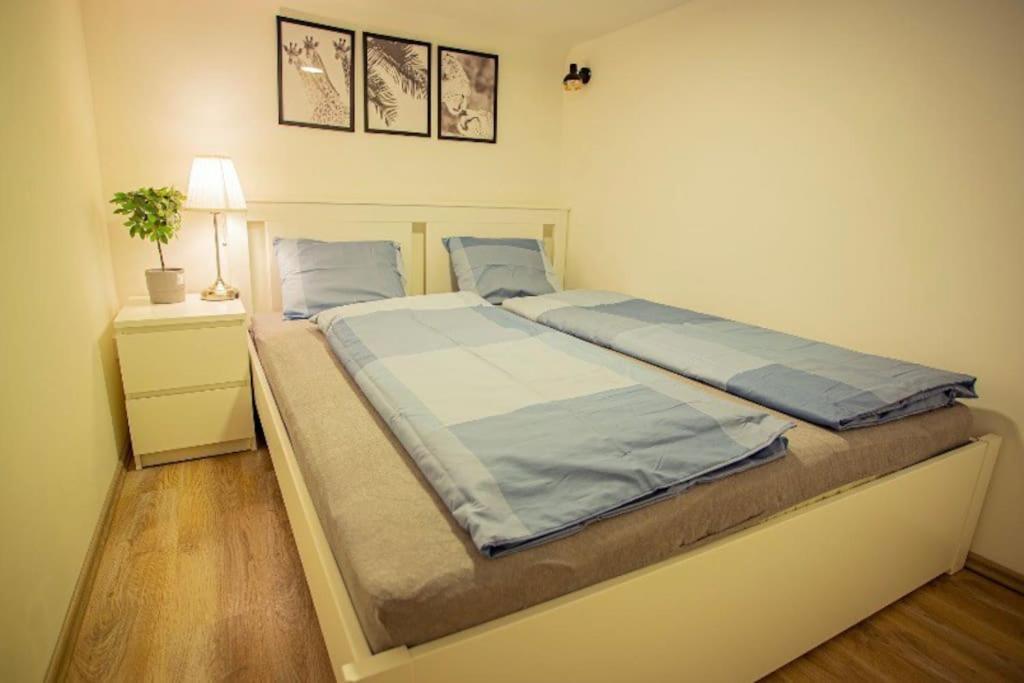 Cosy 2 Bedroom Flat In Akacfa St., Sol Βουδαπέστη Εξωτερικό φωτογραφία