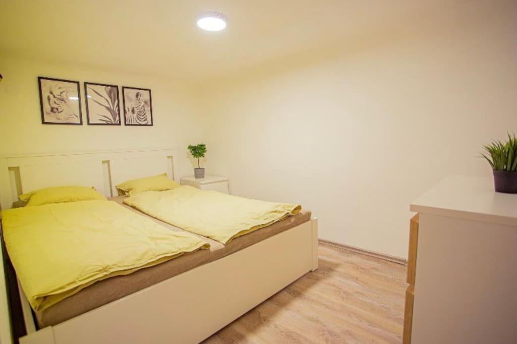 Cosy 2 Bedroom Flat In Akacfa St., Sol Βουδαπέστη Εξωτερικό φωτογραφία